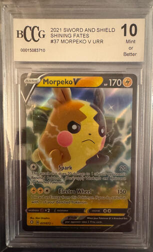 Morpeko V